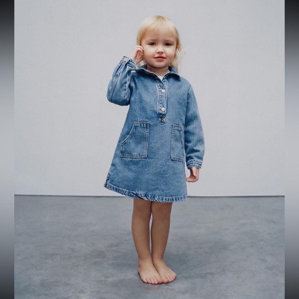Zara denim dress